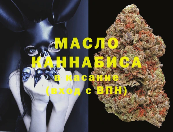 мет Алексин