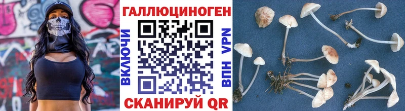 ОМГ ОМГ зеркало  хочу   Клинцы  Псилоцибиновые грибы Psilocybine cubensis 